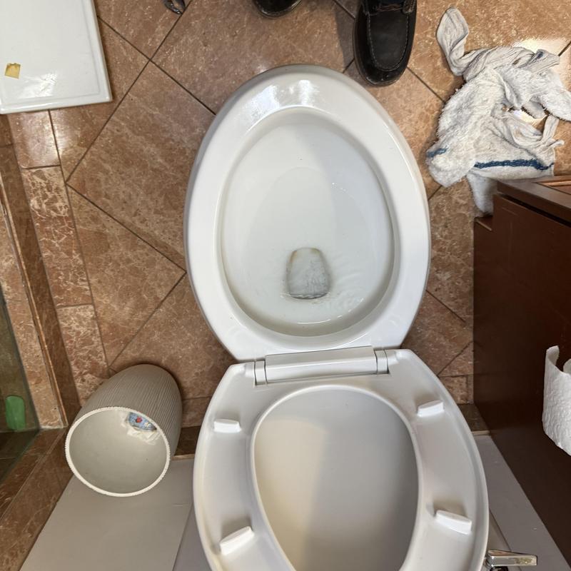 Toilet bowl with open seat shown from above