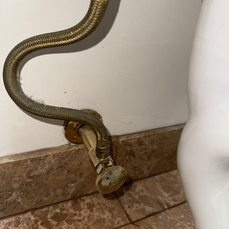 Toilet angle stop valve and braided supply line close-up