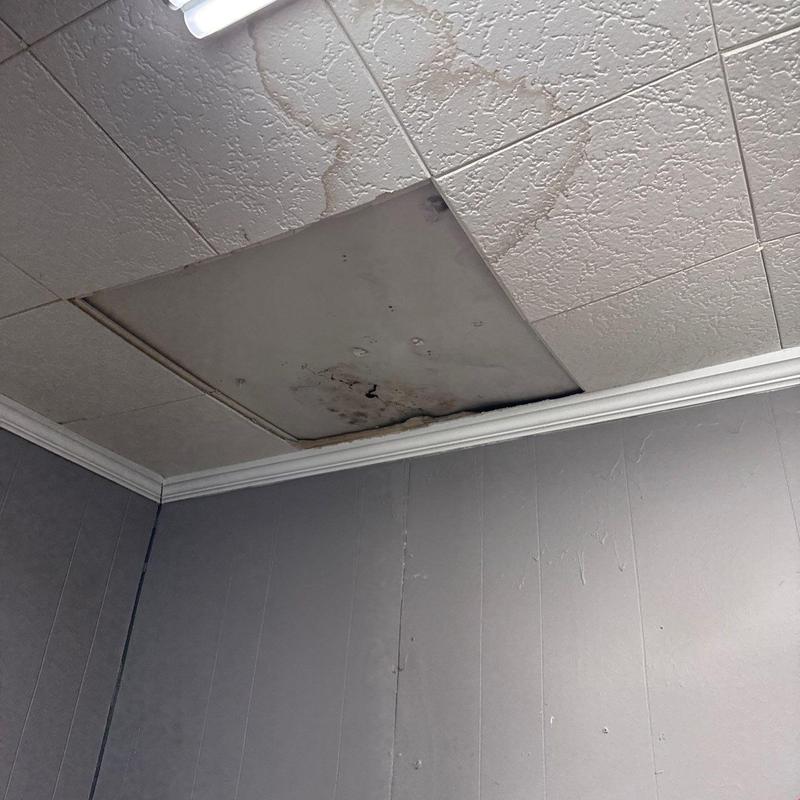 Ceiling tile with water damage and staining