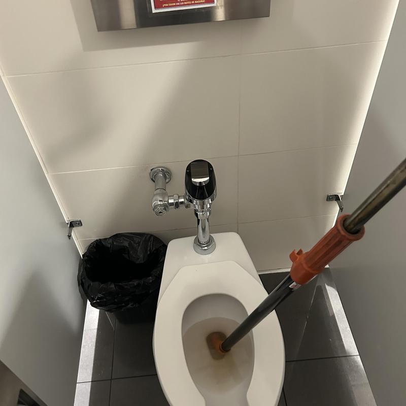 Toilet clog clearing with auger snake in stall