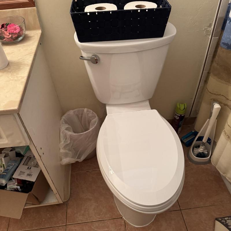 Master bathroom toilet installation with no leaks