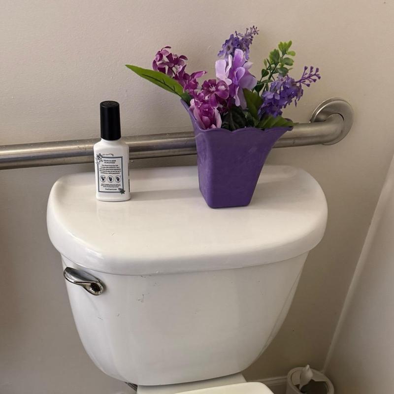 Toilet tank bolts and gaskets replacement with no leaks