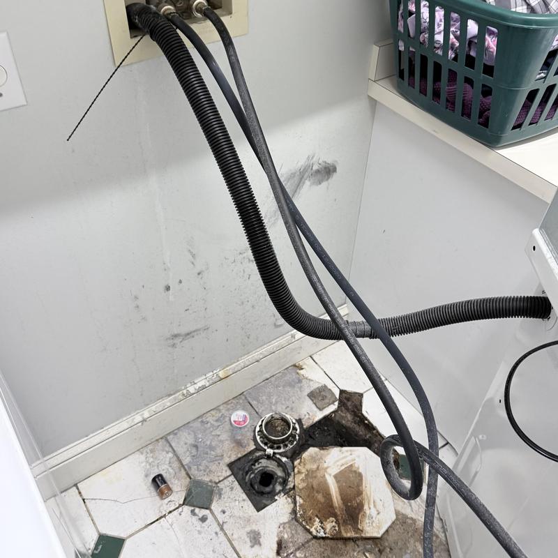 Laundry drain with exposed floor drain and hoses