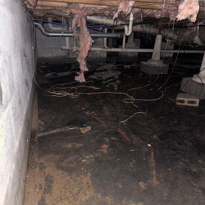 Crawl space vapor barrier with exposed insulation and pipes