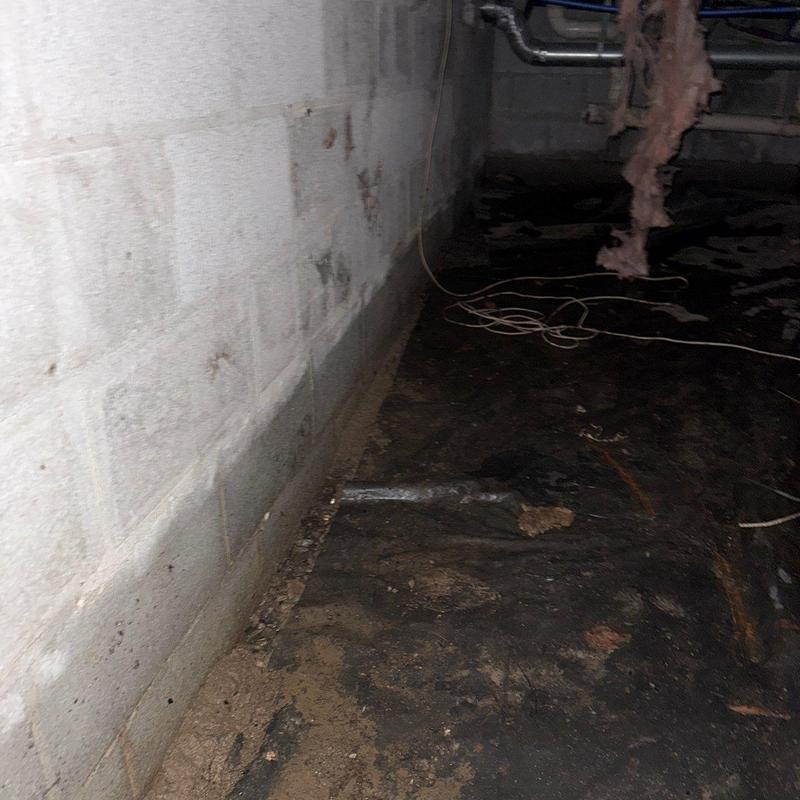 Crawl space moisture damage and insulation debris