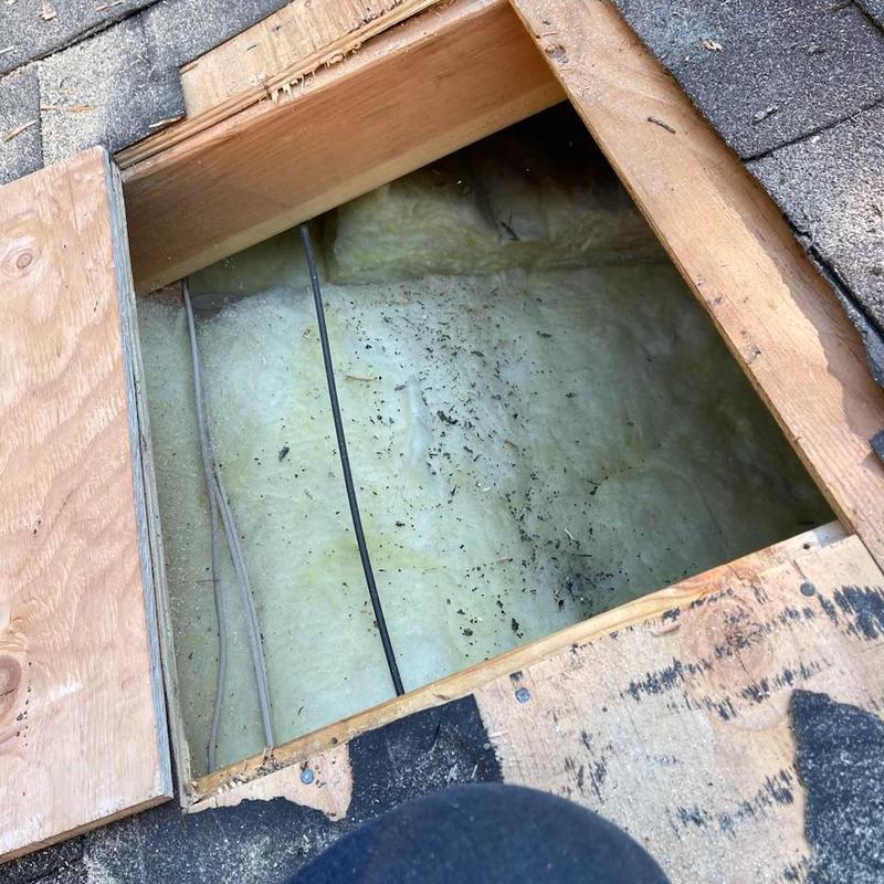 Ceiling insulation exposed through roof opening