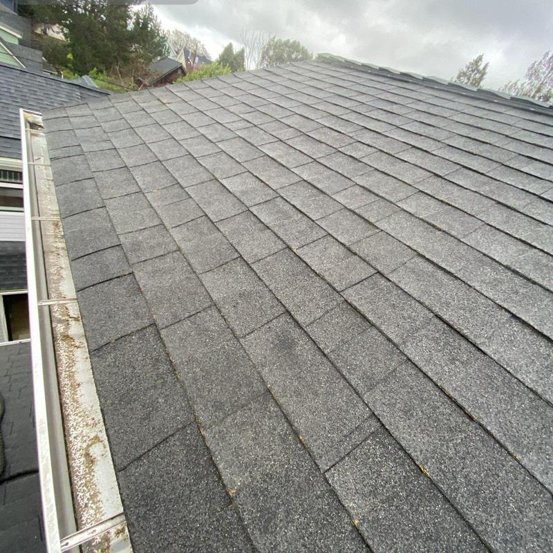 Asphalt shingle roof with moss-free cleaned gutters