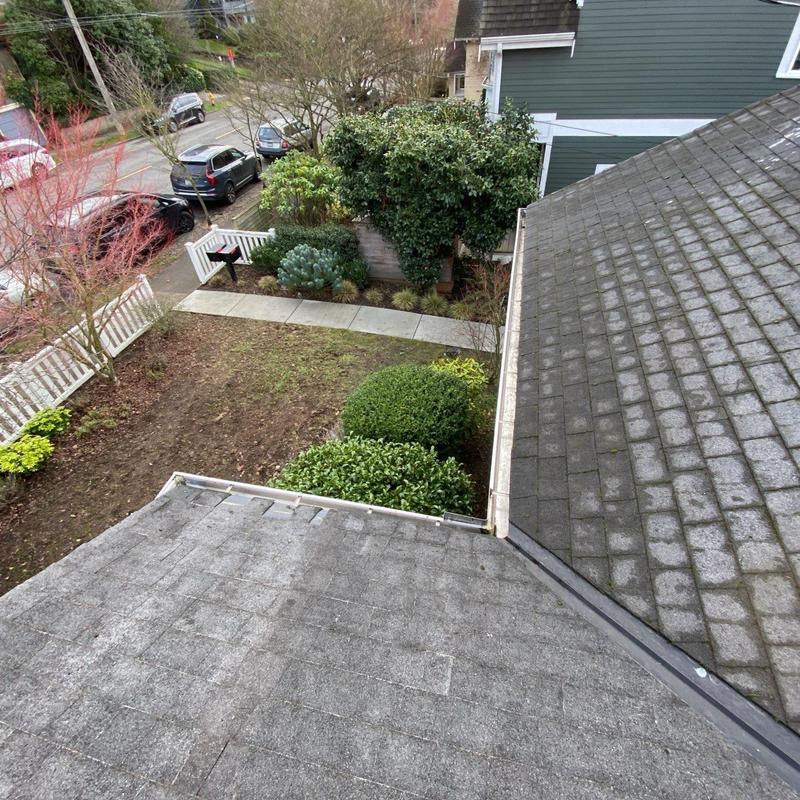 Roof shingles with moss buildup near gutters