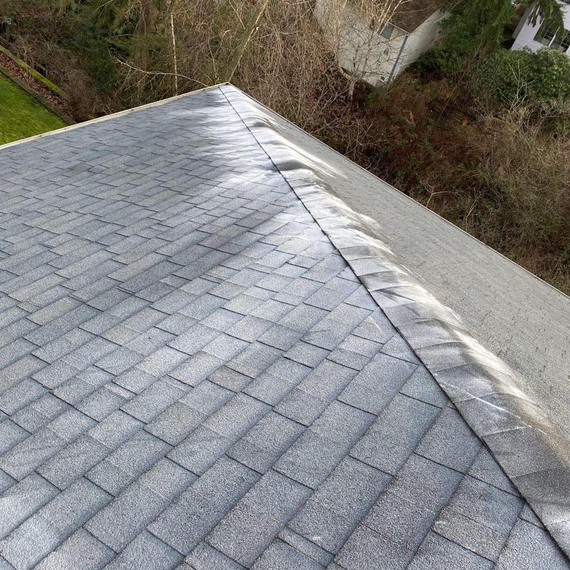 Asphalt shingle roof with ridge cap and surrounding trees