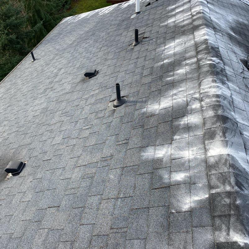 Asphalt shingle roof with moss treatment and vent pipes