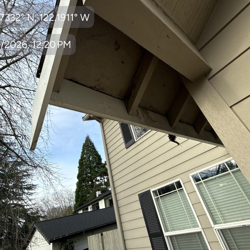 Roof soffit with water damage and staining above window