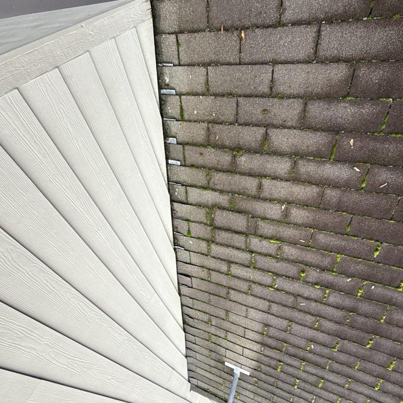 Roof shingle edge with moss and siding panel edge