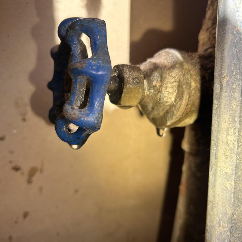 Gate valve shut off with water dripping leak