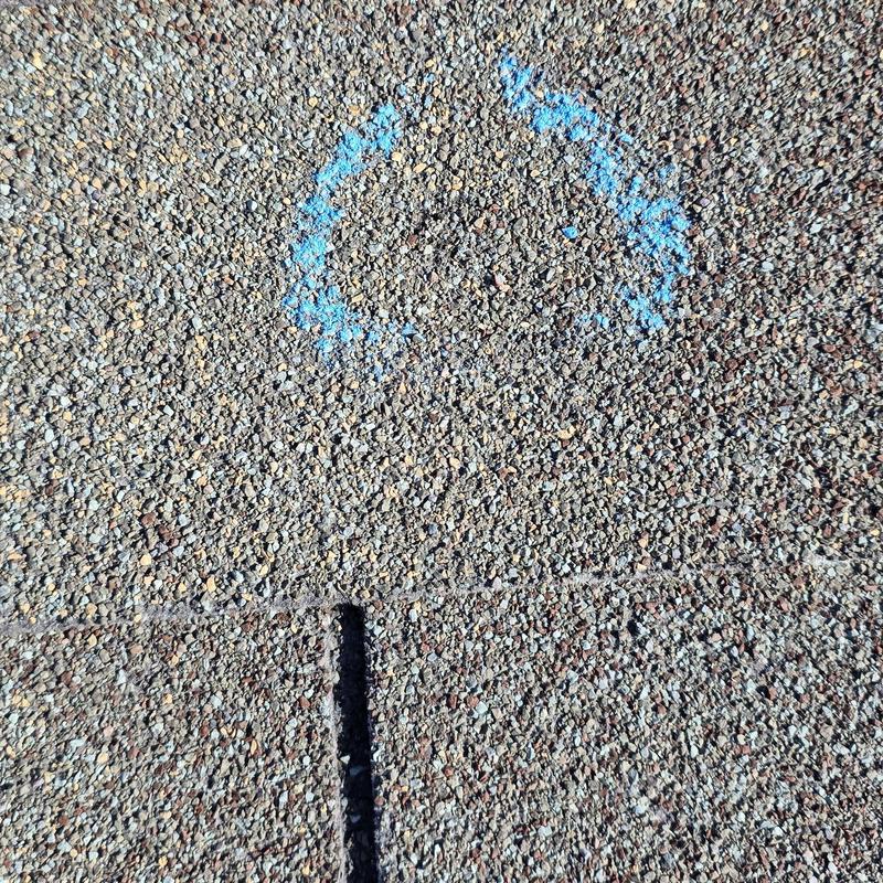 Asphalt shingle roof with hail damage marked in blue