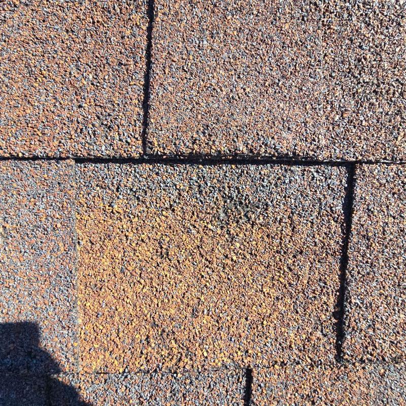 Roof shingles with multiple hail damage spots