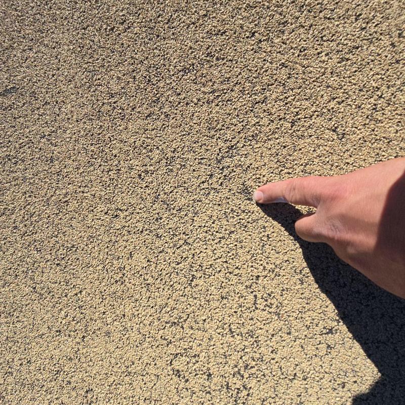 Roof shingles with multiple hail damage points