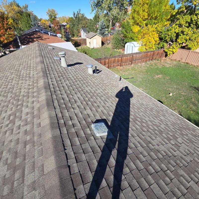 Asphalt shingle roof with hail damage inspection
