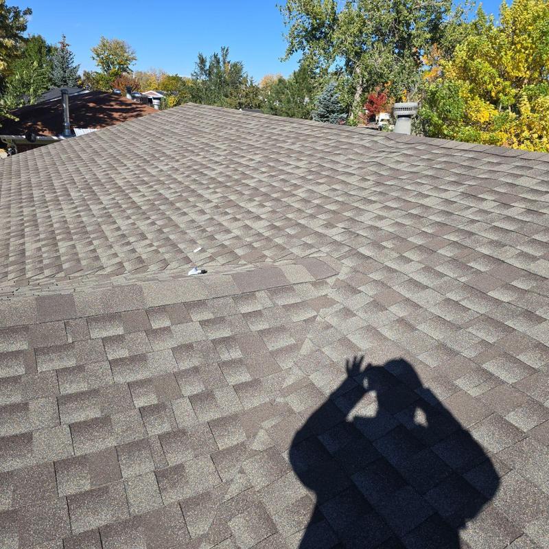 Asphalt shingle roof with hail damage in Denver