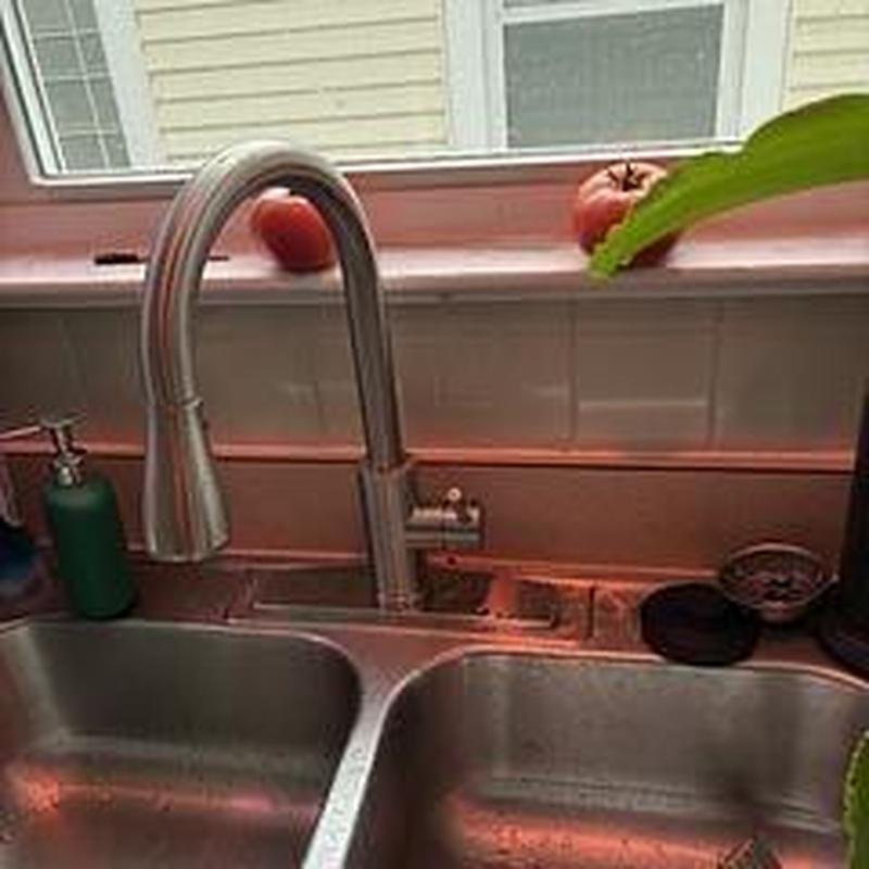 Kitchen faucet with dual stainless steel sink