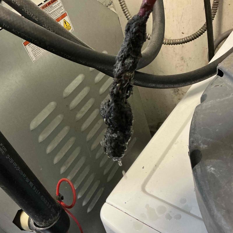 Laundry drain line clogged with lint buildup