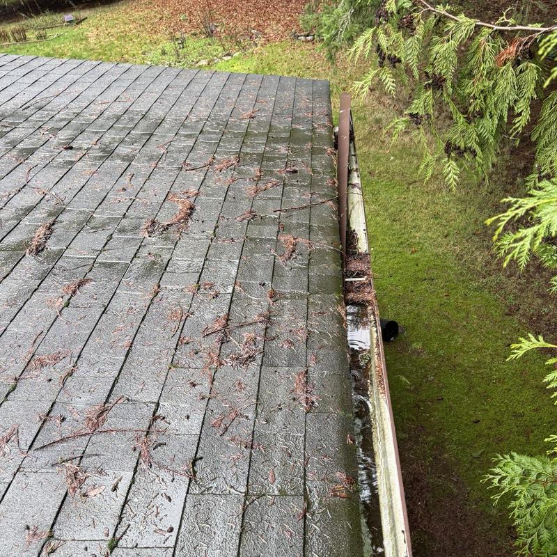 Gutter system with debris on asphalt roof edge