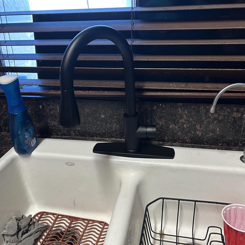 Kitchen faucet with black matte finish installed