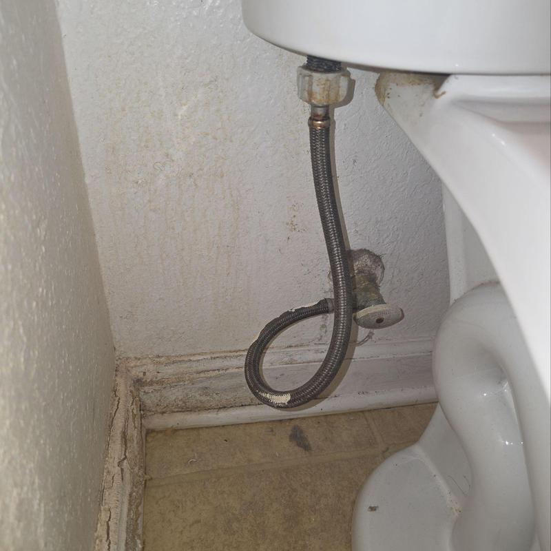 Toilet angle stop valve and braided hose installation