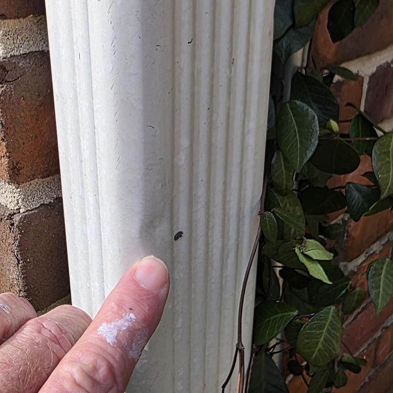 Gutter downspout with hail damage dent and paint chips