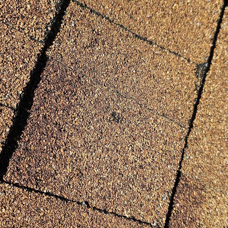 Shingle roof close-up showing hail damage granules Shingle roof close-up showing hail damage granules