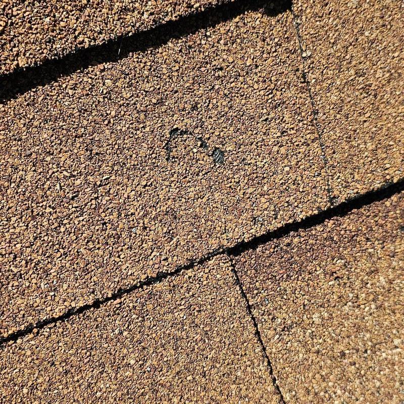 Shingle roof with visible hail damage close-up Shingle roof with visible hail damage close-up