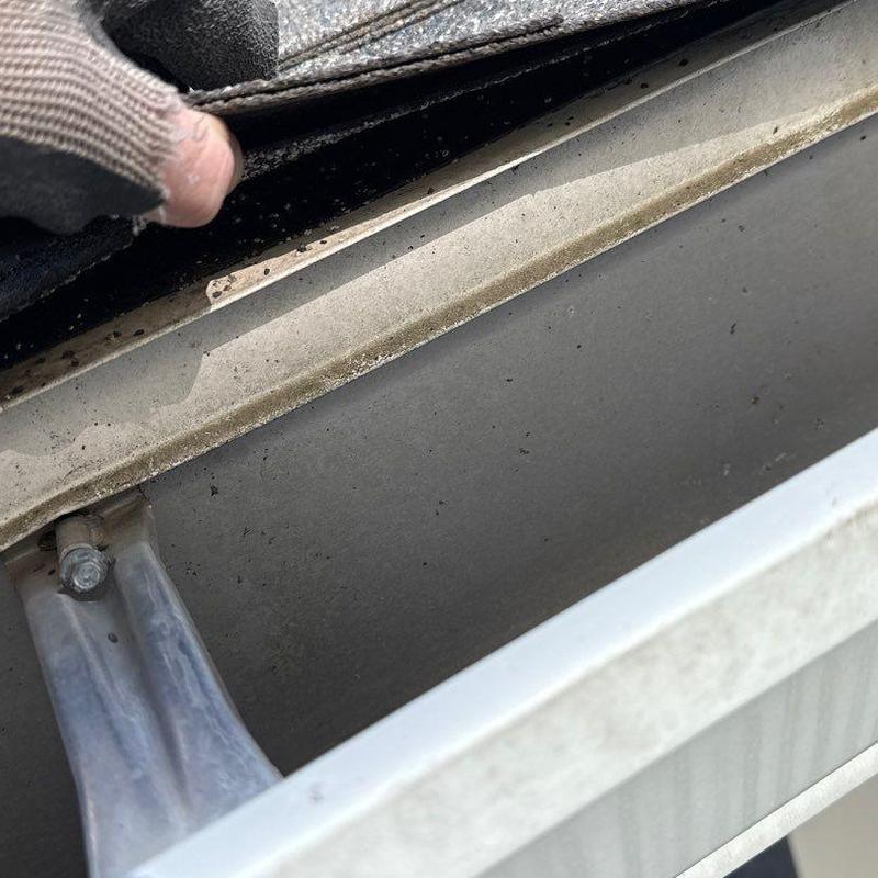 Roof gutter inspection behind lifted shingle edge