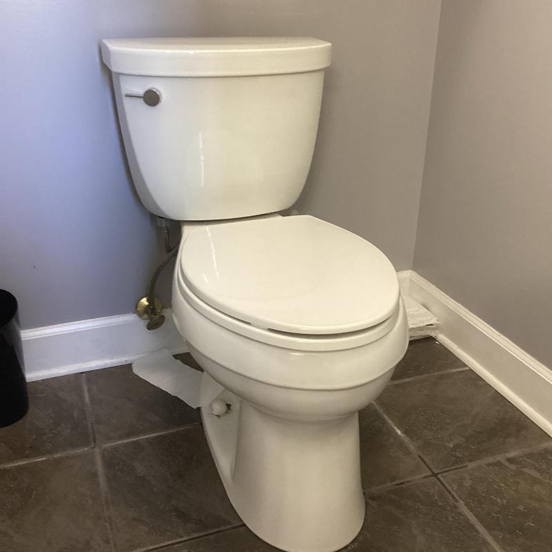 Toilet with replaced wax ring and supply line