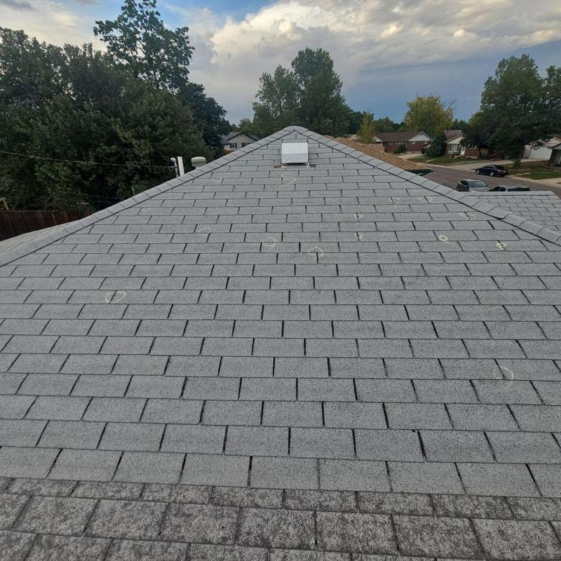 Shingle roof with hail and wind damage inspection marks Shingle roof with hail and wind damage inspection marks