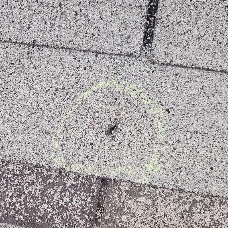 Asphalt shingle with hail damage circled for replacement Asphalt shingle with hail damage circled for replacement