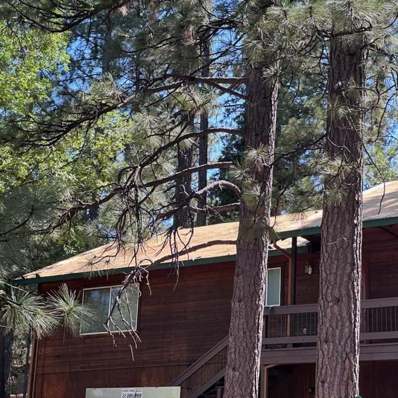 Asphalt GAF roof on cabin in forest setting