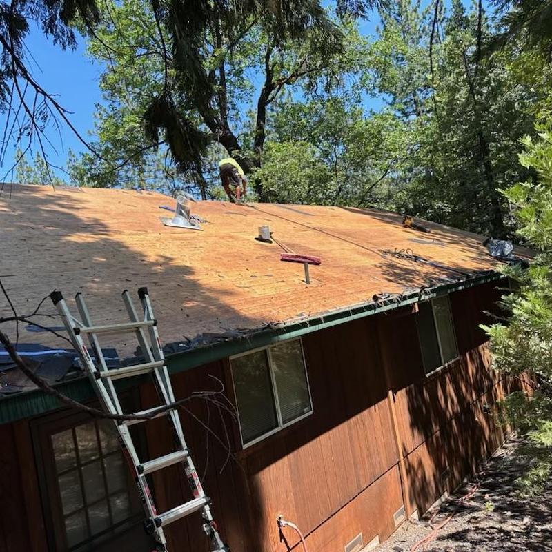 Asphalt roof plywood decking installation on cabin