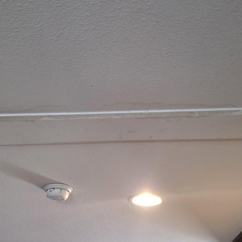 Ceiling damage inspection near smoke detector and light