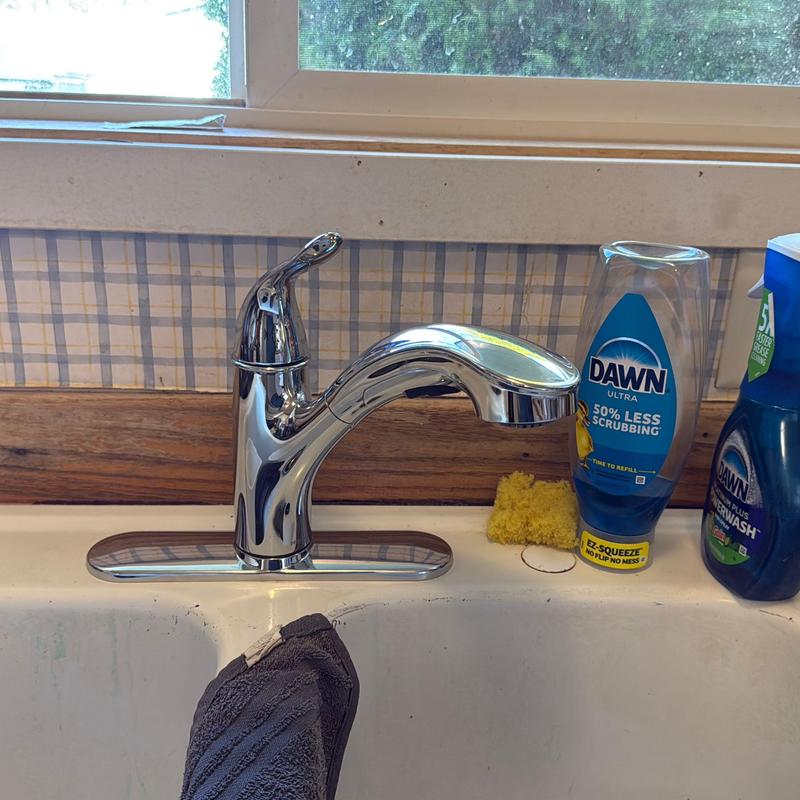 Kitchen faucet installed on sink with cleaning supplies nearby