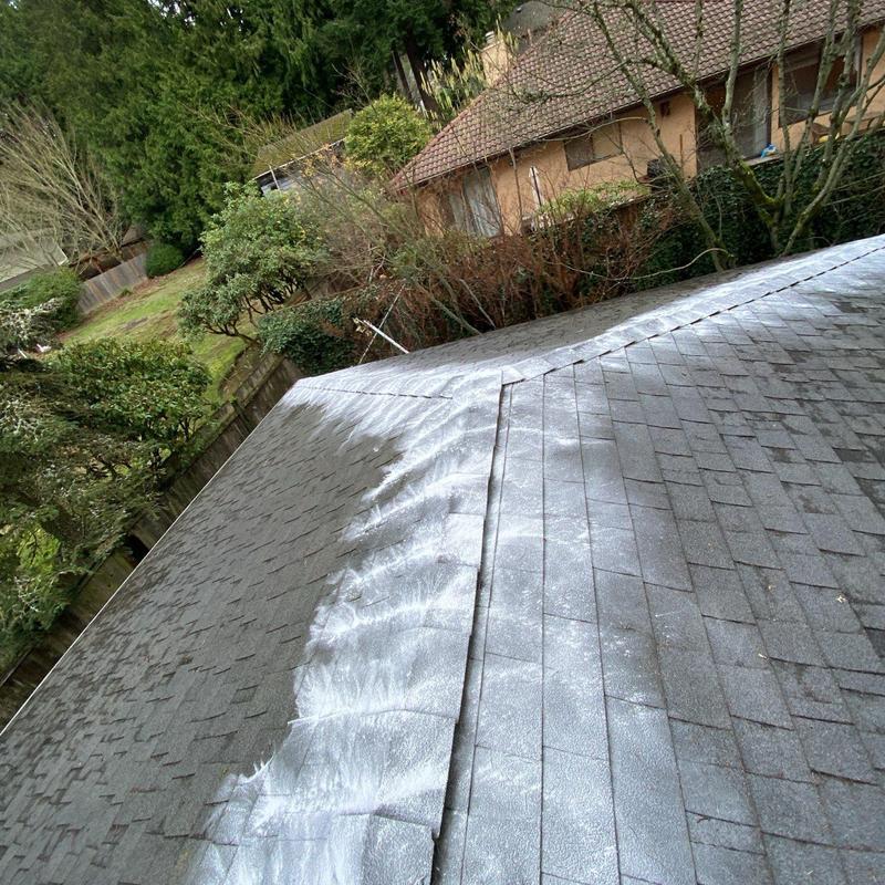 Roof moss treatment on asphalt shingles