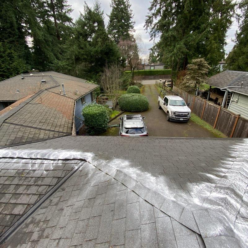 Roof moss treatment application on asphalt shingles