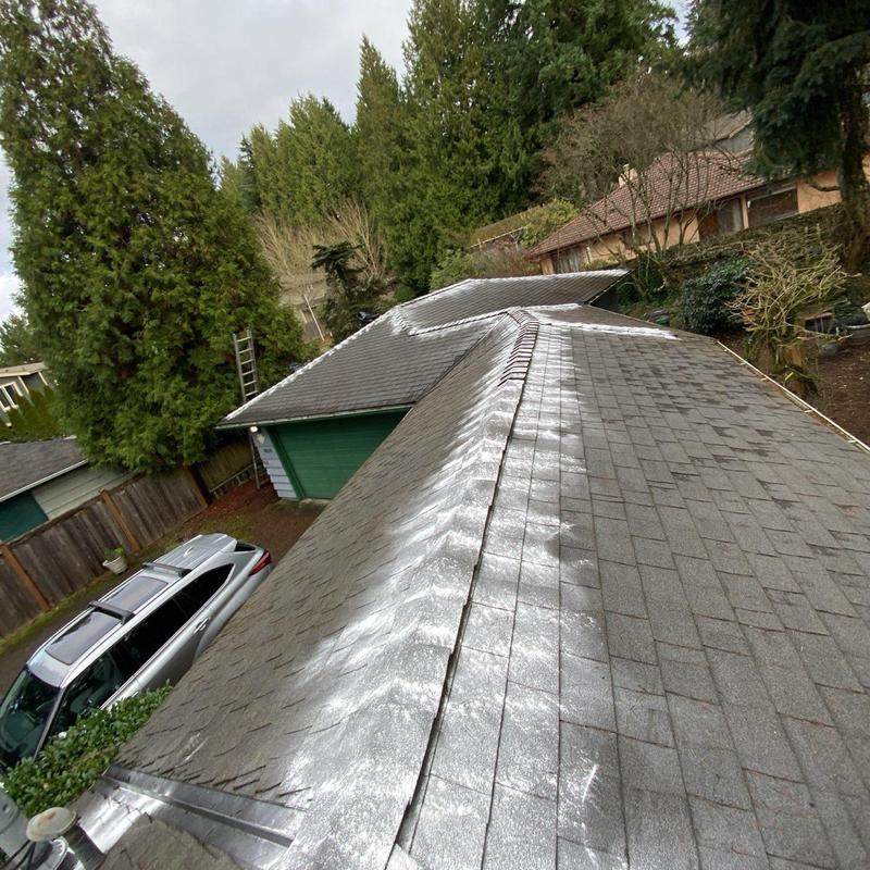 Roof moss treatment on residential shingle roof