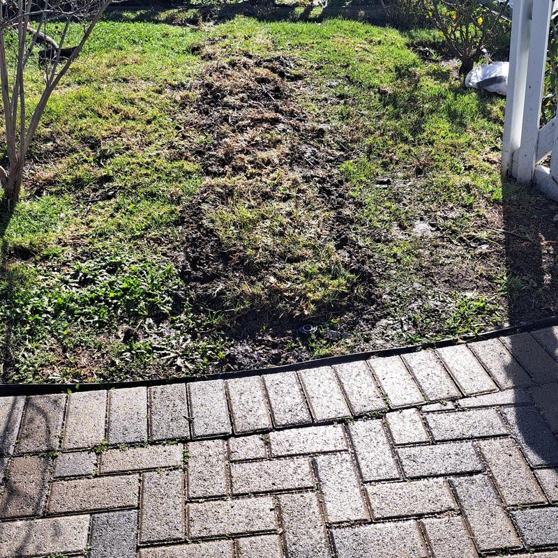 Copper water main and sewer cleanout installation area Copper water main and sewer cleanout installation area