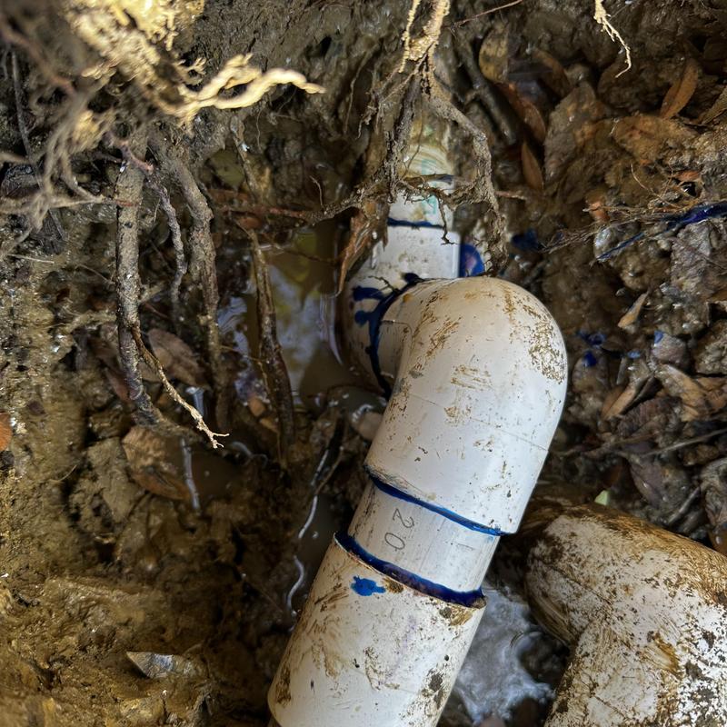 Swimming pool PVC pipe leak with muddy roots