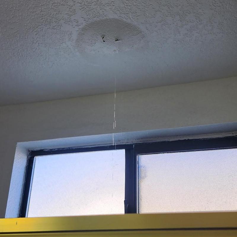 Ceiling water leak dripping above window frame