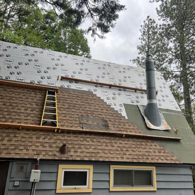 Roofing shingles removal and plywood replacement on cabin roof