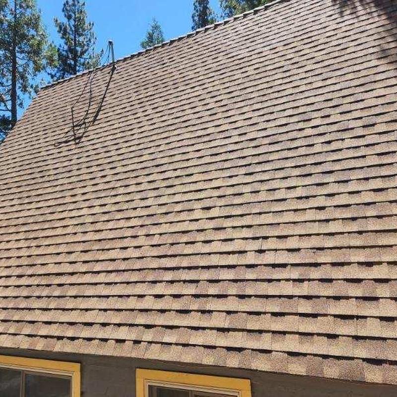 Asphalt shingle roof with replaced plywood sections