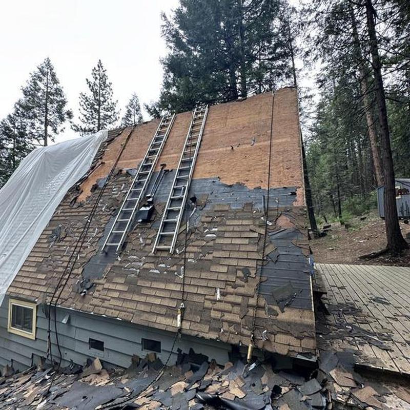 Roof plywood replacement with old shingles removed