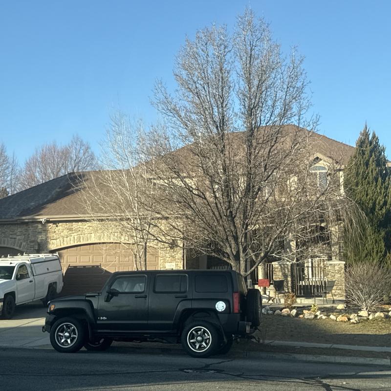 Asphalt shingle roof on suburban home under clear sky Asphalt shingle roof on suburban home under clear sky