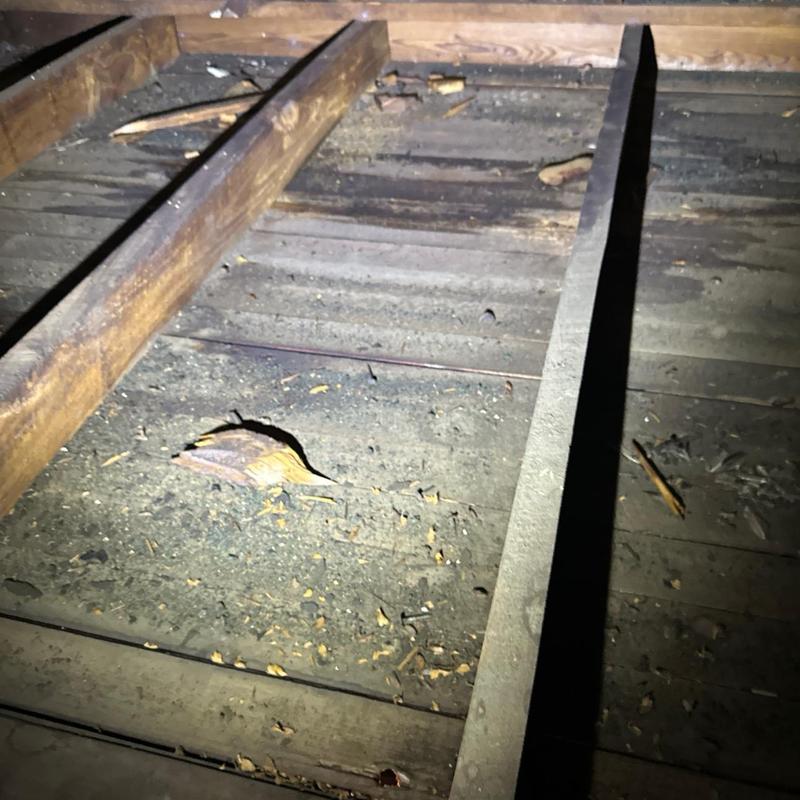 Attic floor and joists with dust and debris