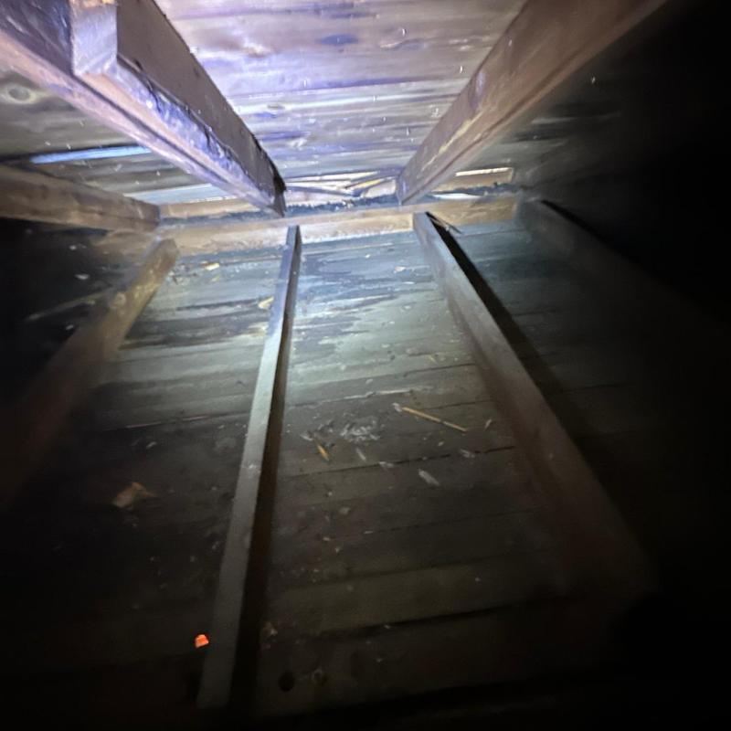 Attic roof wooden framing and sheathing inspection view